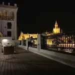 Penthouse With Large Private Terrace With Views Cathedral